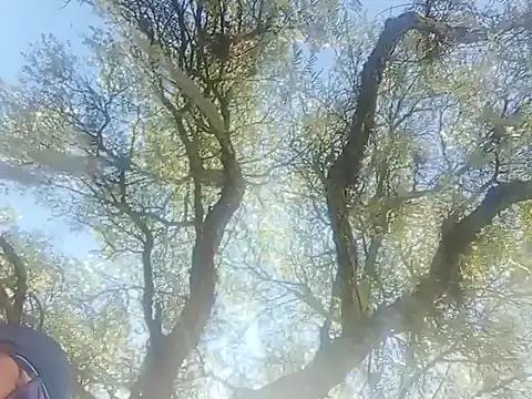 Darly Gomez online show from December 22, 2024, 3:22 pm