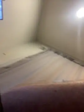 Snapshot of FrankJake99 chatting on November 5, 2025, 11:49 pm FrankJake99 online show from November 5, 2025, 11:49 pm