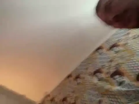 zenzero87 online show from December 21, 2024, 12:49 pm