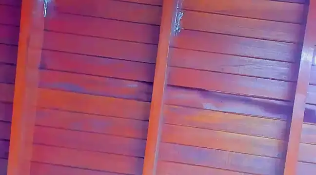 Rosse Emily online show from February 22, 2025, 2:28 am