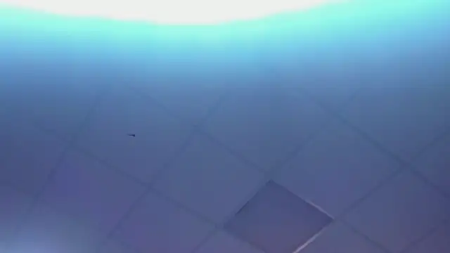 Lexy-Woorhez online show from February 28, 2025, 1:36 pm