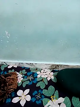 Haniya-143 online show from December 15, 2025, 9:41 pm