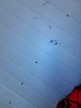 Snapshot of frotasso chatting on December 12, 2024, 4:15 am frotasso online show from December 12, 2024, 4:15 am