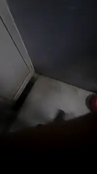 Ritikdesi online show from March 2, 2025, 5:23 am