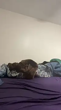 daddymaniaco69 online show from December 28, 2024, 4:52 pm