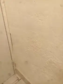 FlacoRiaton online show from February 10, 2026, 8:07 am