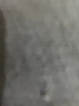 Gordelicia03 online show from March 5, 2026, 3:02 am