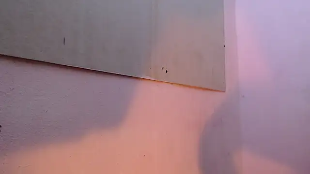 Snapshot of mr_stiven_ chatting on March 22, 2025, 2:16 am mr stiven online show from March 22, 2025, 2:16 am