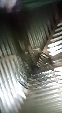 Snapshot of Sree-69-nude chatting on February 24, 2025, 9:20 pm Sree-69-nude online show from February 24, 2025, 9:20 pm