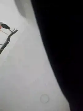 Snapshot of smith2024xxx23cm chatting on December 29, 2024, 10:12 am smith2024xxx23cm online show from December 29, 2024, 10:12 am