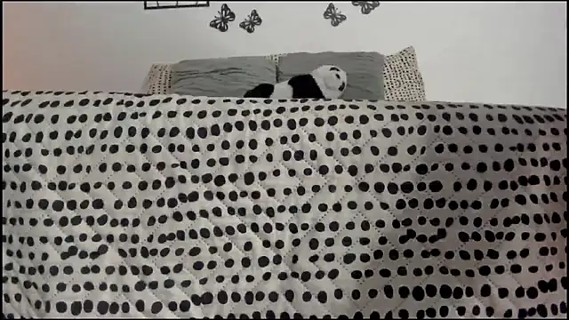 Snapshot of Keiny-Rave chatting on March 18, 2025, 1:32 am Keiny-Rave online show from March 18, 2025, 1:32 am