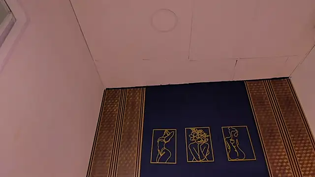 Snapshot of _dakota_a chatting on January 8, 2025, 9:44 pm dakota a online show from January 8, 2025, 9:44 pm