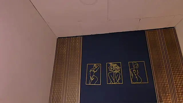 Snapshot of _dakota_a chatting on January 14, 2025, 12:54 am dakota a online show from January 14, 2025, 12:54 am