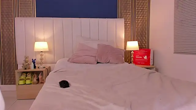 Snapshot of _dakota_a chatting on January 14, 2025, 9:41 pm dakota a online show from January 14, 2025, 9:41 pm