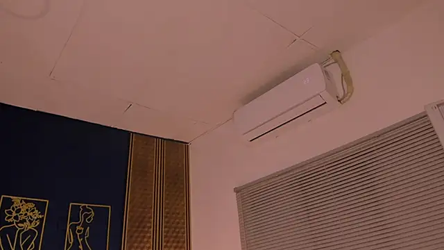 Snapshot of _dakota_a chatting on January 21, 2025, 12:46 am dakota a online show from January 21, 2025, 12:46 am