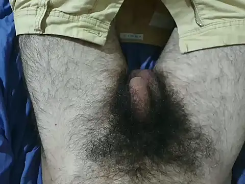 bomvemcam online show from November 28, 2025, 7:11 am