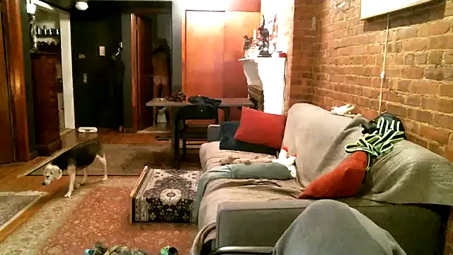 Johnny Bottoms online show from December 21, 2024, 1:04 am