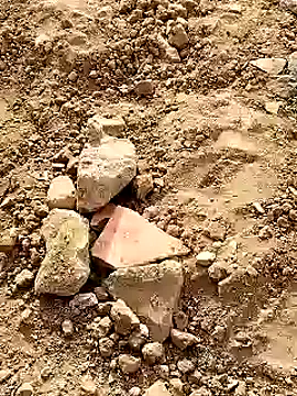 Snapshot of Guru2 chatting on January 10, 2025, 4:22 am Guru2 online show from January 10, 2025, 4:22 am