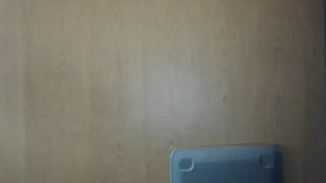 Dnasty408 online show from November 13, 2025, 4:17 pm