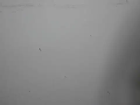 Snapshot of GoddessGlide chatting on March 16, 2025, 11:16 am GoddessGlide online show from March 16, 2025, 11:16 am