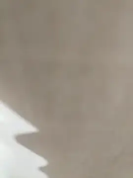 Snapshot of prnv00007 chatting on January 1, 2025, 4:39 pm prnv00007 online show from January 1, 2025, 4:39 pm