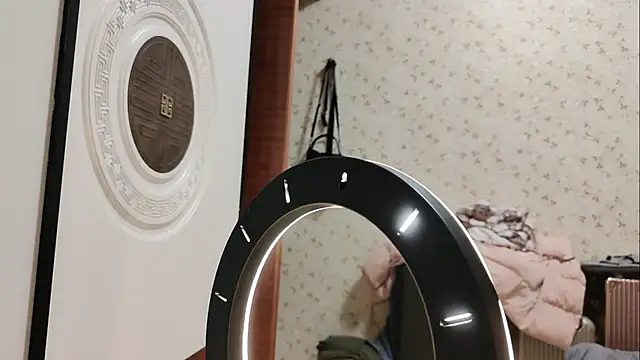 diandian-866 online show from January 25, 2025, 1:41 pm