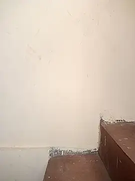 Stripper Maahi online show from September 19, 2025, 10:38 am