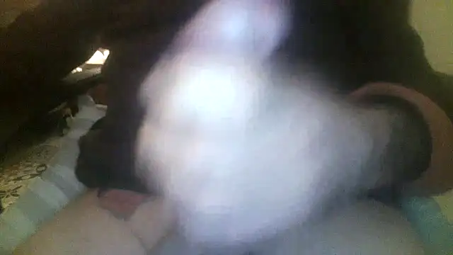 Snapshot of Patrickhound chatting on November 19, 2025, 3:39 am Patrickhound online show from November 19, 2025, 3:39 am