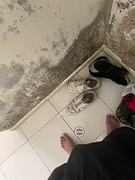 Snapshot of elflalope chatting on November 4, 2025, 8:52 pm elflalope online show from November 4, 2025, 8:52 pm