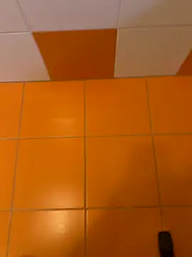 Stripchat2008 online show from November 24, 2025, 2:28 pm