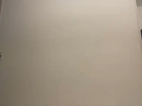 JoaoLenhador online show from February 10, 2025, 9:04 pm