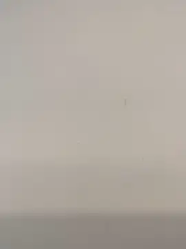 JoaoLenhador online show from February 26, 2025, 12:36 pm