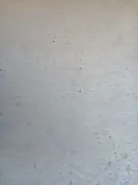 Pooja cut online show from October 2, 2025, 3:35 am