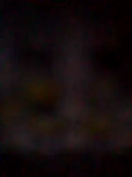 Snapshot of missAmanda69 chatting on July 29, 2026, 11:25 pm missAmanda69 online show from July 29, 2026, 11:25 pm