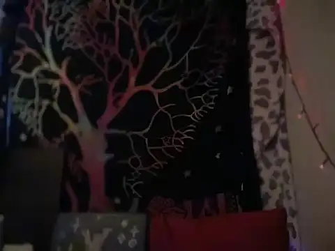 badboy366 online show from February 5, 2026, 12:04 am