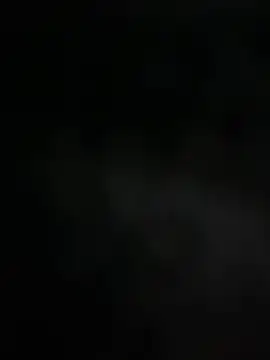 mdnn77 online show from February 19, 2025, 8:33 am