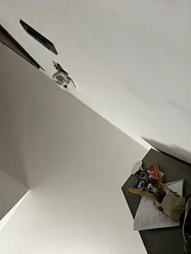 Snapshot of ilmaestoso chatting on February 21, 2025, 7:23 am ilmaestoso online show from February 21, 2025, 7:23 am