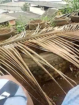 Snapshot of safado0027 chatting on October 15, 2025, 6:41 pm safado0027 online show from October 15, 2025, 6:41 pm