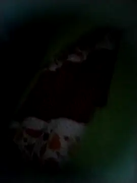 Snapshot of safado0027 chatting on November 9, 2025, 8:34 am safado0027 online show from November 9, 2025, 8:34 am