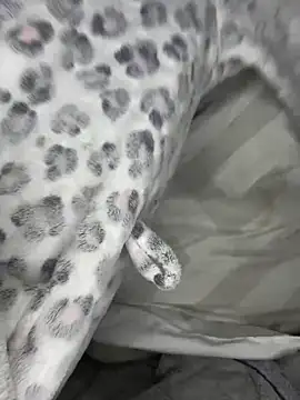 VioletxBlue online show from March 28, 2026, 11:32 am