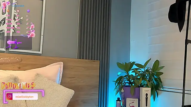 Snapshot of Elise-Leyton chatting on June 4, 2026, 6:14 pm Elise-Leyton online show from June 4, 2026, 6:14 pm