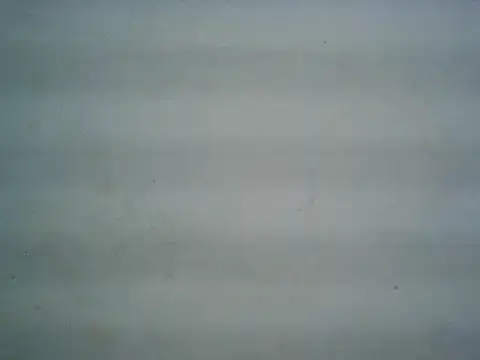 Snapshot of michel1520 chatting on July 20, 2026, 11:34 am michel1520 online show from July 20, 2026, 11:34 am