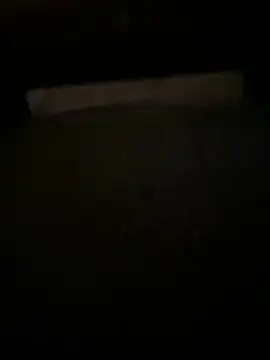 QTeepye online show from April 16, 2026, 5:30 am