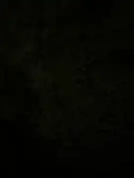 Snapshot of Lilymoonshow chatting on February 17, 2025, 2:31 am Lilymoonshow online show from February 17, 2025, 2:31 am