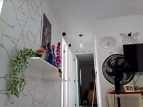 Munnoki online show from March 4, 2026, 3:29 pm