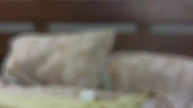 SallyCha online show from February 18, 2025, 12:15 am