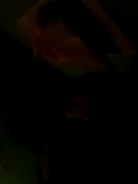 Raj41 online show from February 8, 2026, 4:43 pm