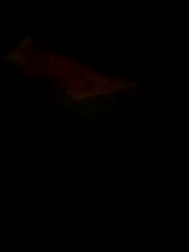 Raj41 online show from March 30, 2026, 5:36 pm