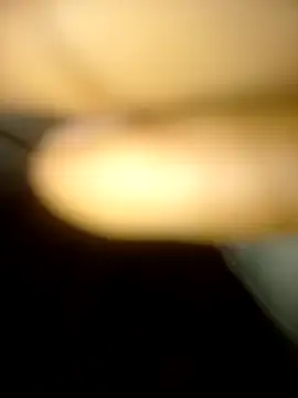 Butcher56981 online show from November 11, 2025, 11:16 pm