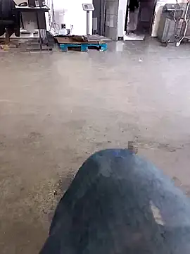 Snapshot of Trixboy201 chatting on September 29, 2025, 7:19 pm Trixboy201 online show from September 29, 2025, 7:19 pm